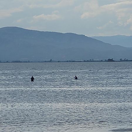 La Llar De Laura Pension El Poble Nou del Delta Buitenkant foto