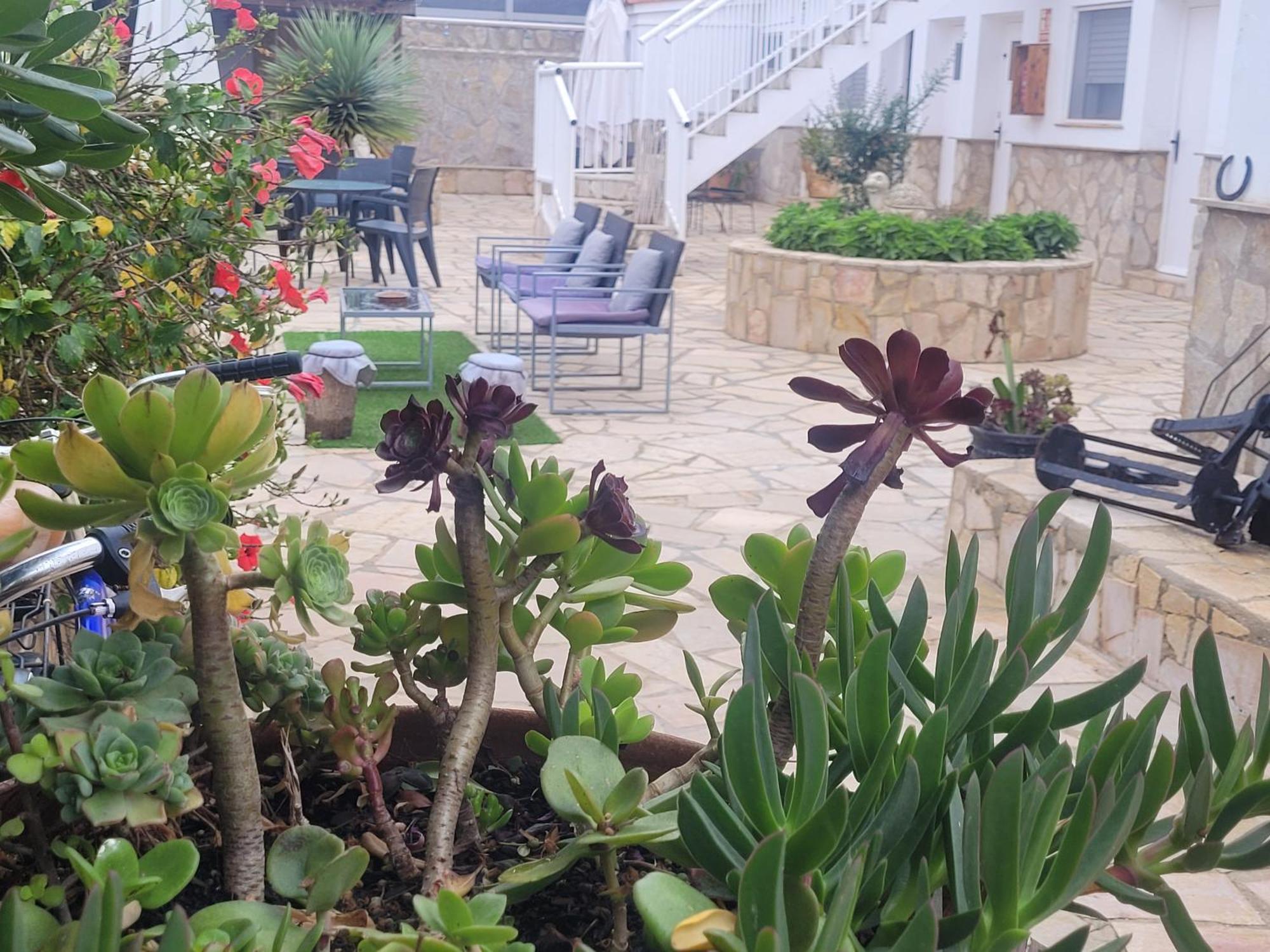 La Llar De Laura Pension El Poble Nou del Delta Buitenkant foto